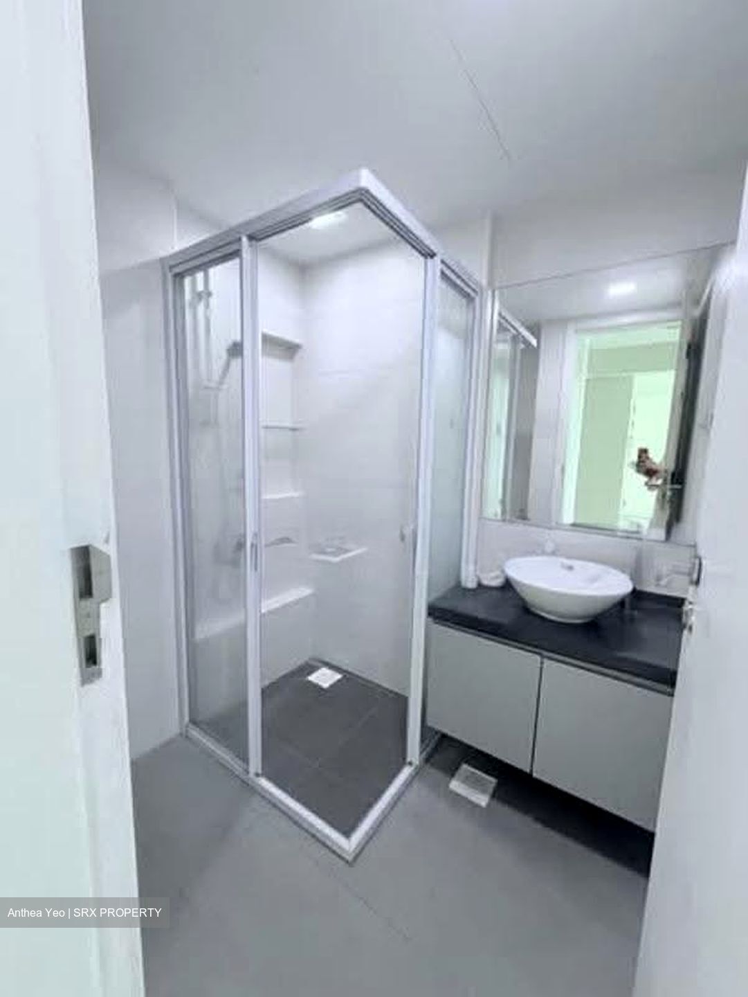 The Belvedere (D15), Condominium #620714801